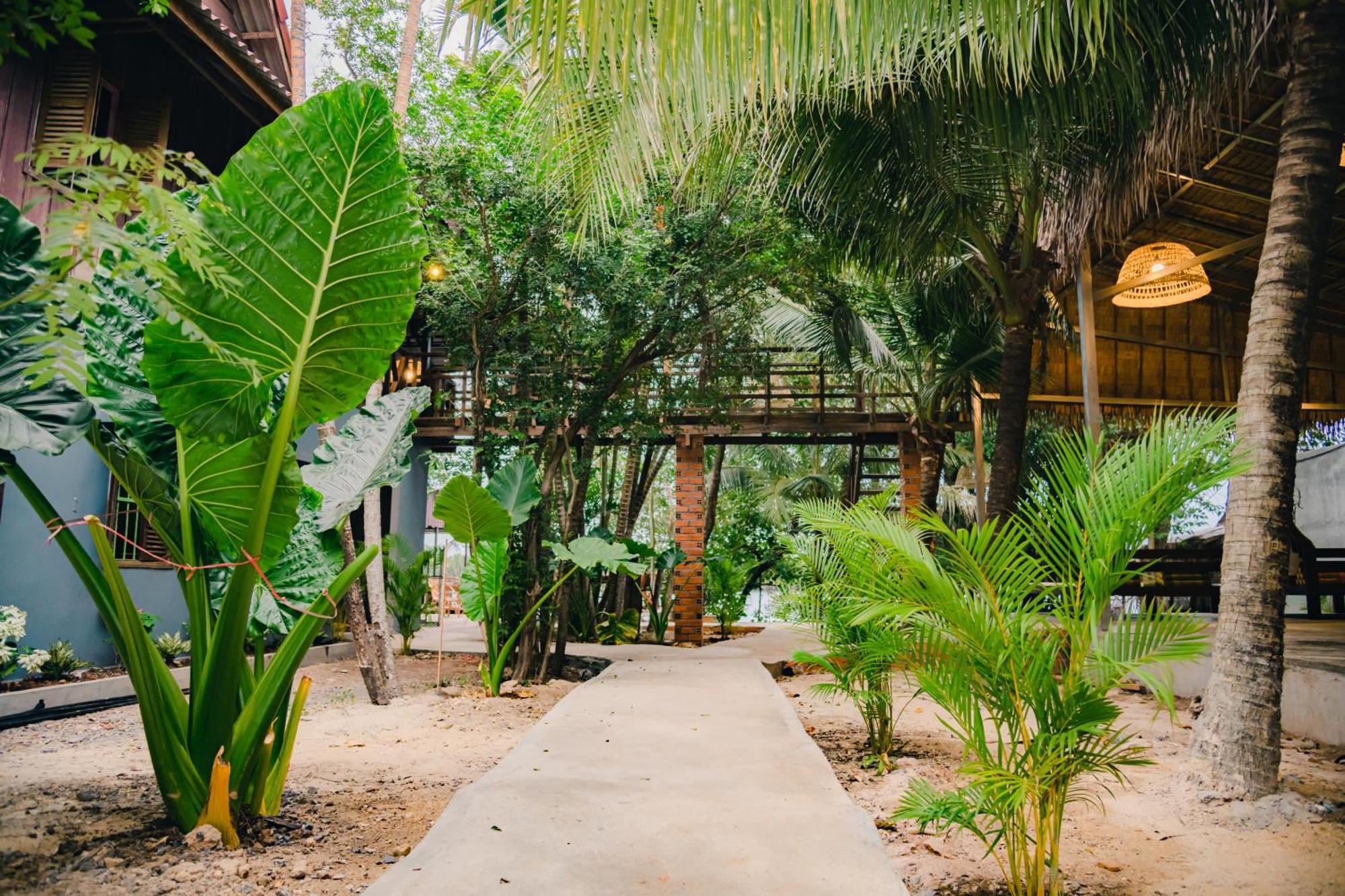 Banyan Tree Hostel Kampot Bagian luar foto