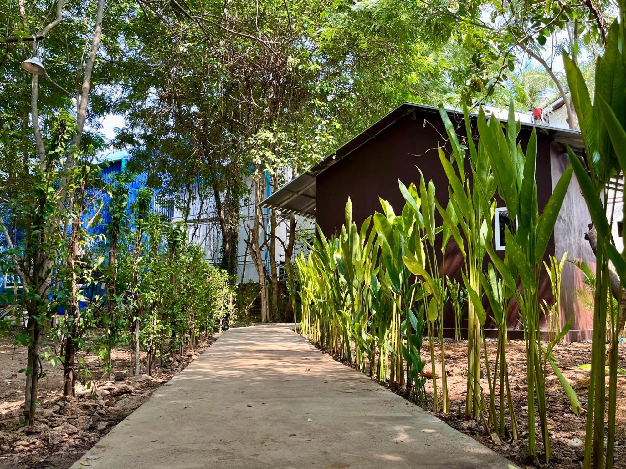 Banyan Tree Hostel Kampot Bagian luar foto
