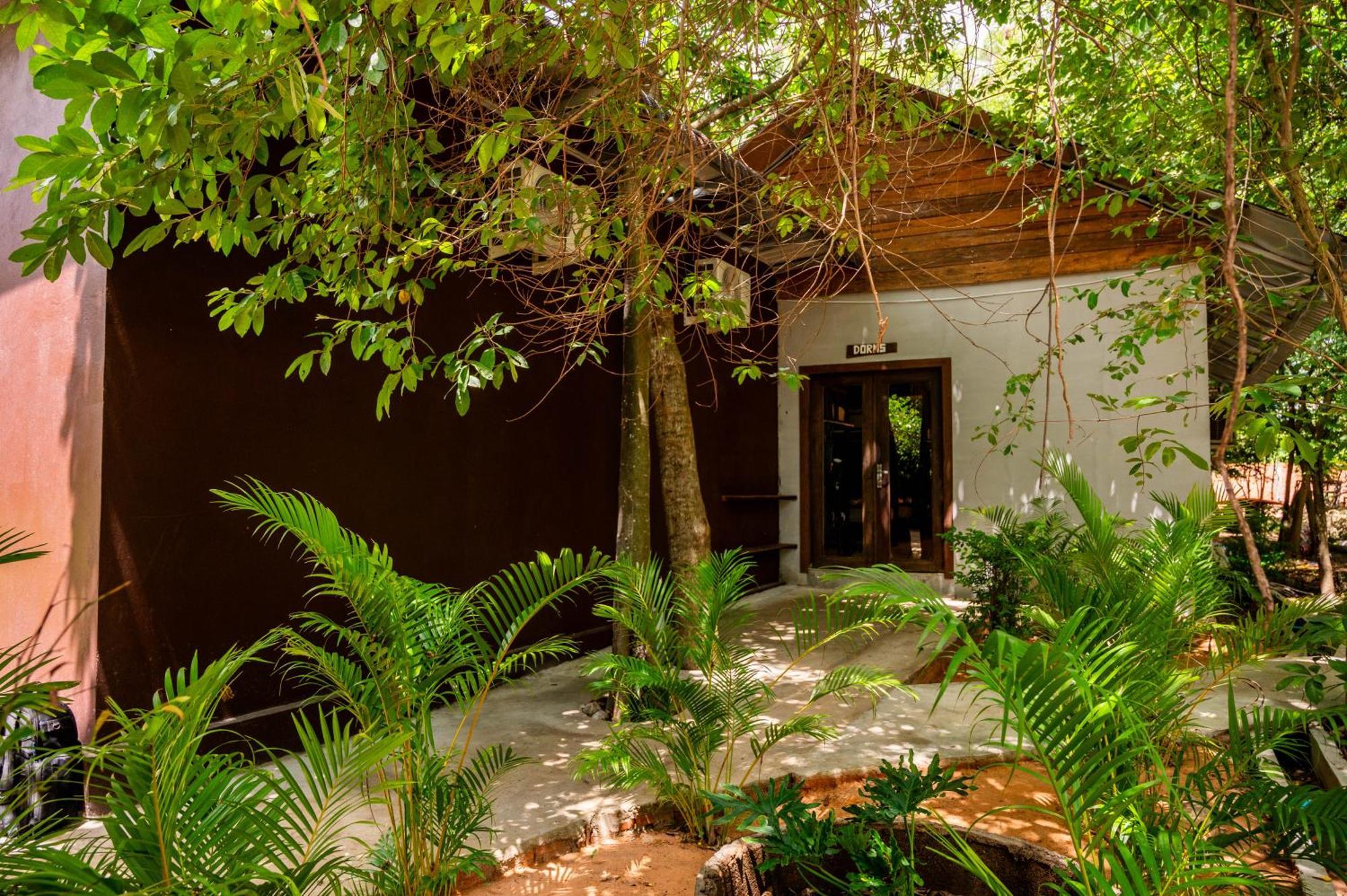 Banyan Tree Hostel Kampot Bagian luar foto