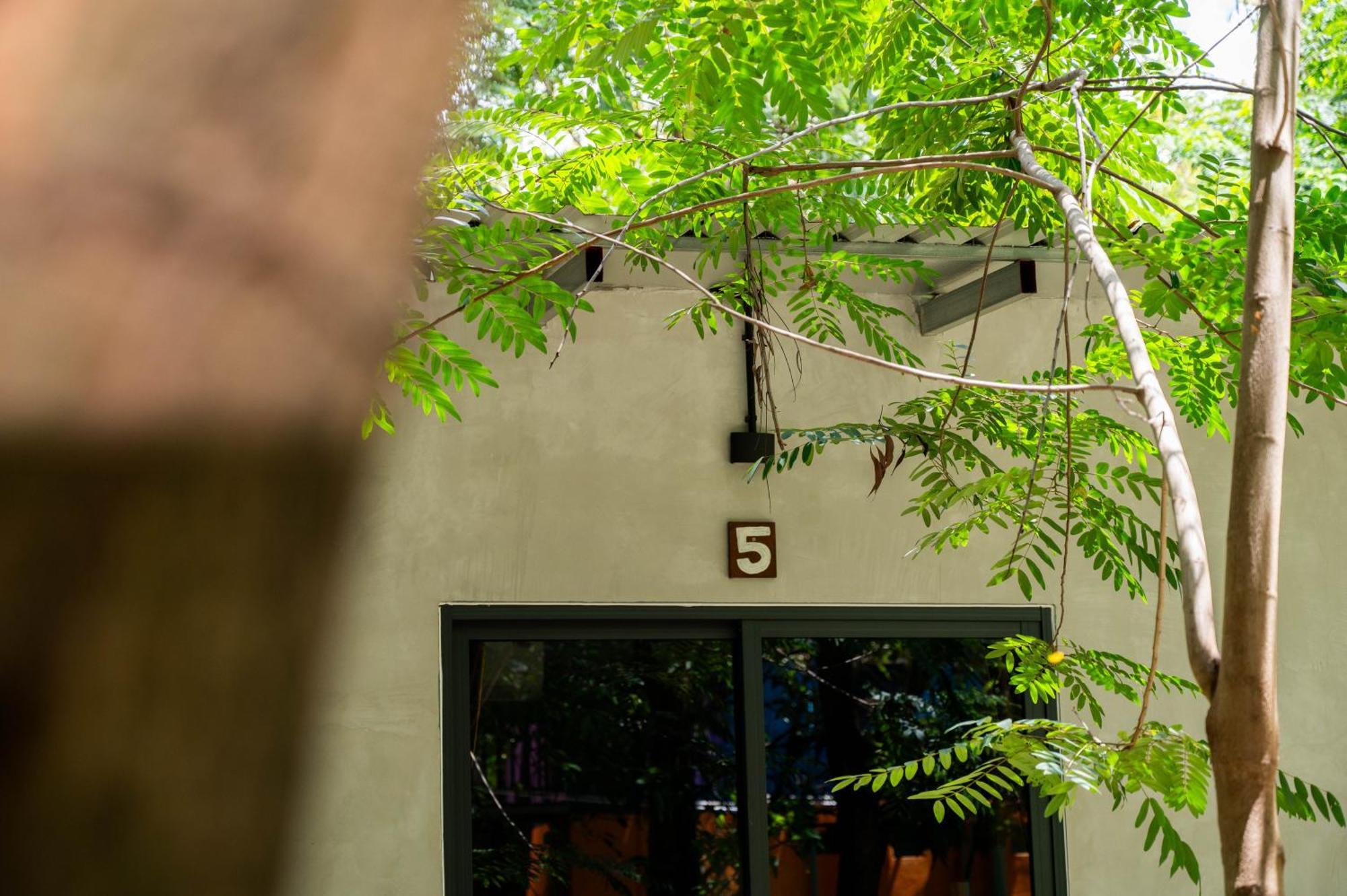 Banyan Tree Hostel Kampot Bagian luar foto