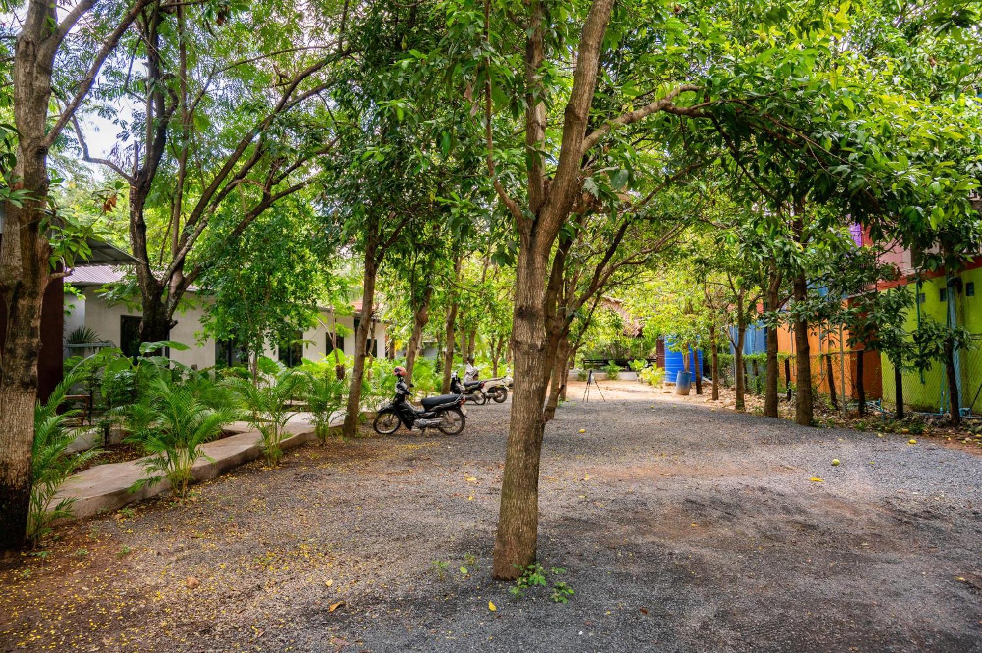Banyan Tree Hostel Kampot Bagian luar foto