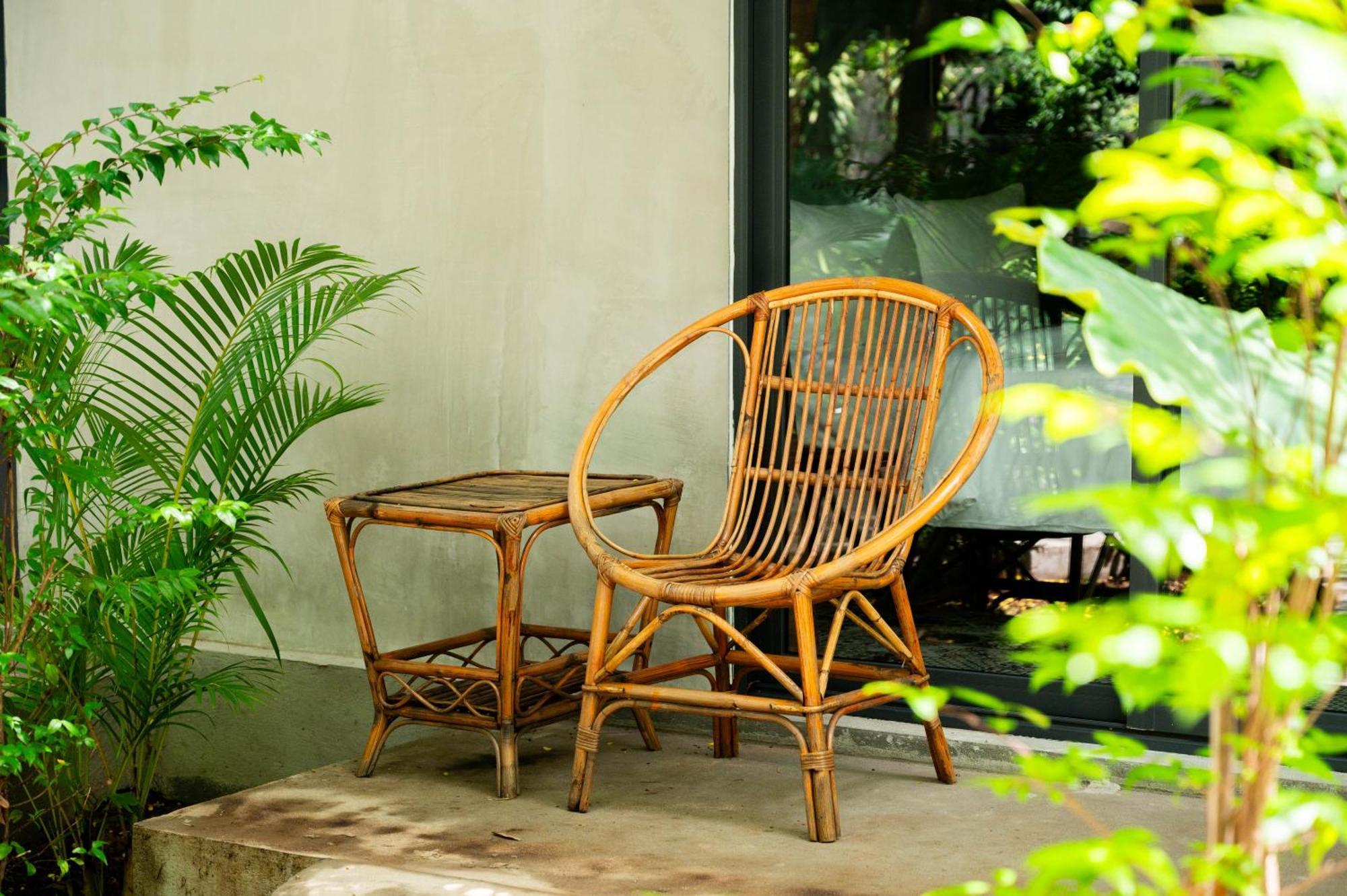 Banyan Tree Hostel Kampot Bagian luar foto